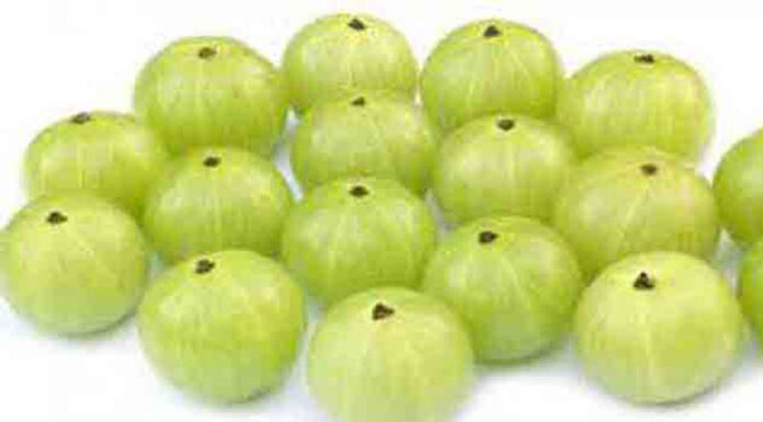 আমলকি ফল